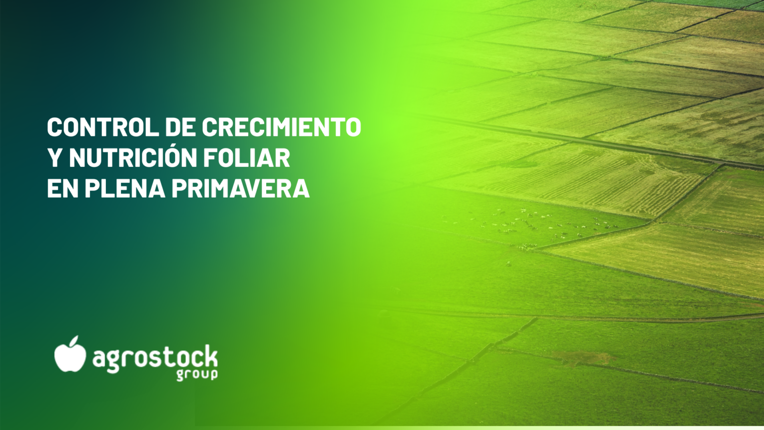 Portada de blog sobre control de crecimiento y nutrición foliar en plena primavera para Agrostock Group